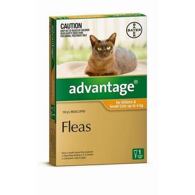 Advantage Single Kitten/Small Cat Orange (up tp 4kg)