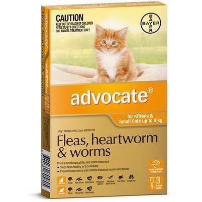 Advocate Cat Small Orange (up to 4kg)