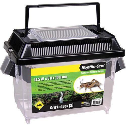 REPTILE ONE Cricket Hold Box W Feed Tube