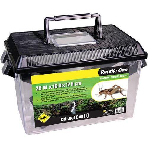 REPTILE ONE Cricket Hold Box W Feed Tube