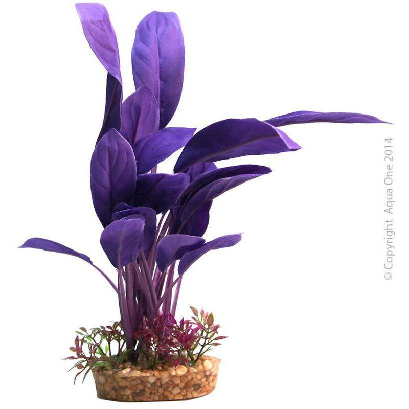 AQUA ONE Silk Plant Purple Echinodorus W Gravel Base L -10565