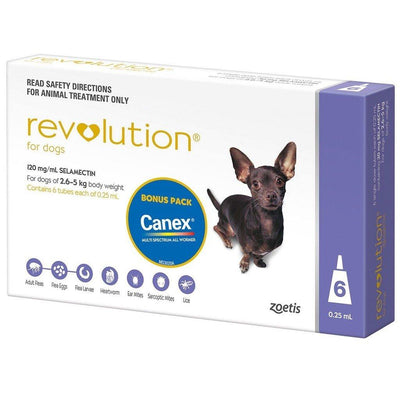 Revolution Dog 2.6-5kg Purple