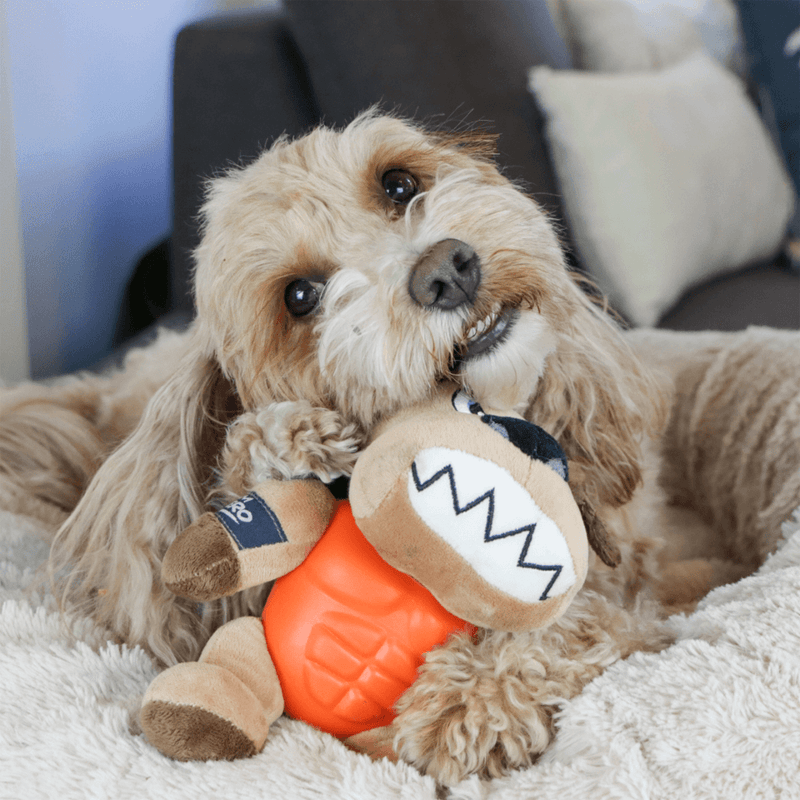 GIGWI Im Hero Armour Dog Plush with Squeak