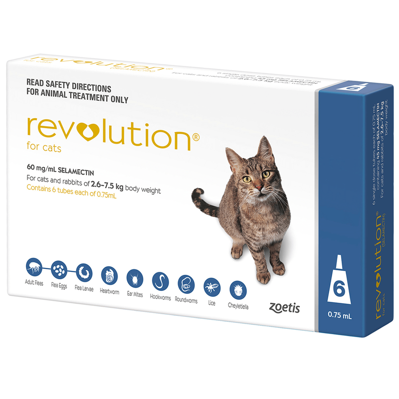Revolution Cat Blue