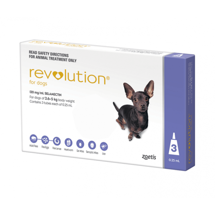 Revolution Dog 2.6-5kg Purple